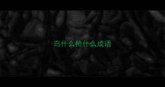 鸟什么枪什么成语