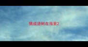 猜成语树在海里