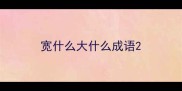 宽什么大什么成语