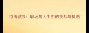 惊涛骇浪职场与人生中的挑战与机遇