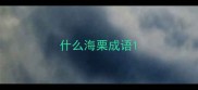 什么海栗成语