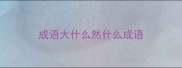 成语大什么然什么成语