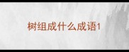 树组成什么成语