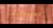 表示东西多的成语