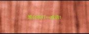 黑白苍打一成语
