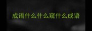 成语什么什么窥什么成语