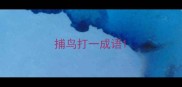 捕鸟打一成语