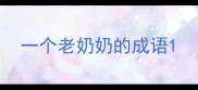 一个老奶奶的成语