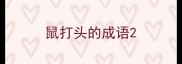 鼠打头的成语