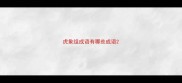 虎象组成语有哪些成语