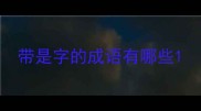 带是字的成语有哪些