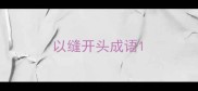 以缝开头成语