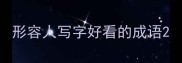 形容人写字好看的成语