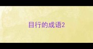 目行的成语