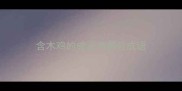 含木鸡的成语有哪些成语