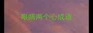 眼睛两个心成语