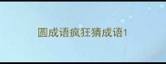 圆成语疯狂猜成语