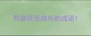 形容厌恶排斥的成语