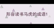 形容读书马虎的成语