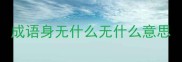 成语身无什么无什么意思
