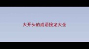 大开头的成语接龙大全