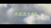 术成语大全