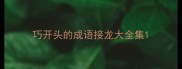 巧开头的成语接龙大全集
