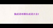 猫成语有哪些成语大全