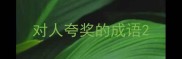 对人夸奖的成语