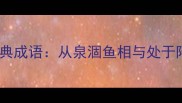 泉字开头的15个经典成语从泉涸鱼相与处于陆看传统文化智慧