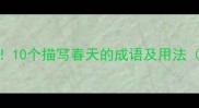 最新推荐10个描写春天的成语及用法附例句