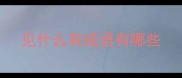见什么有成语有哪些