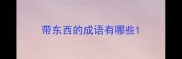 带东西的成语有哪些
