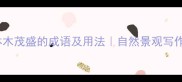 20个形容林木茂盛的成语及用法自然景观写作必备指南
