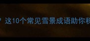 和雪有关的成语有哪些这10个常见雪景成语助你积累文学素养附详细