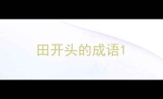 田开头的成语