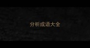 分析成语大全