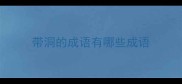 带洞的成语有哪些成语