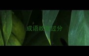 成语故意过分