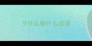 夕什么朝什么成语