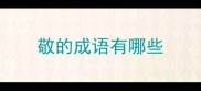 敬的成语有哪些