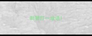 刺猬打一成语