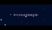 带马字的成语粗略的看