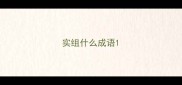 实组什么成语