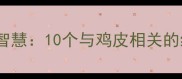 鸡皮疙瘩背后的成语智慧10个与鸡皮相关的经典成语及深层寓意