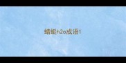 蜻蜓h2o成语