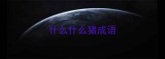 什么什么猪成语