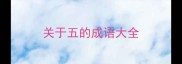 关于五的成语大全