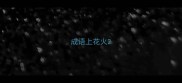 成语上花火