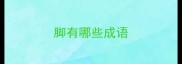 脚有哪些成语